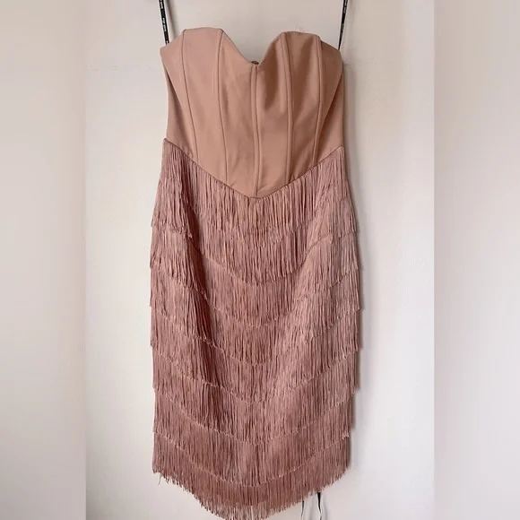 lavish alice pink fringe dress Pink Lavish Alice Next Lavish Alice Pink Fringe One Shoulder Midi Dress  [Retail $160